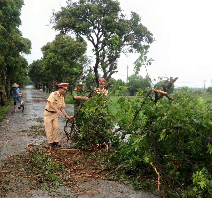 CSGT don cay do sau bao anh 2