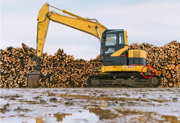 tim vat an trong anh anh 18