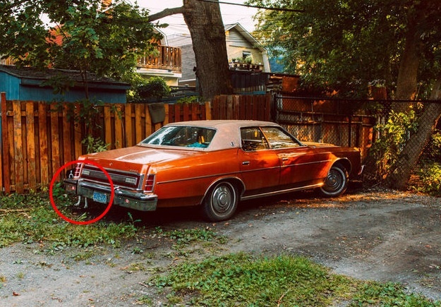 tim vat an trong anh anh 10