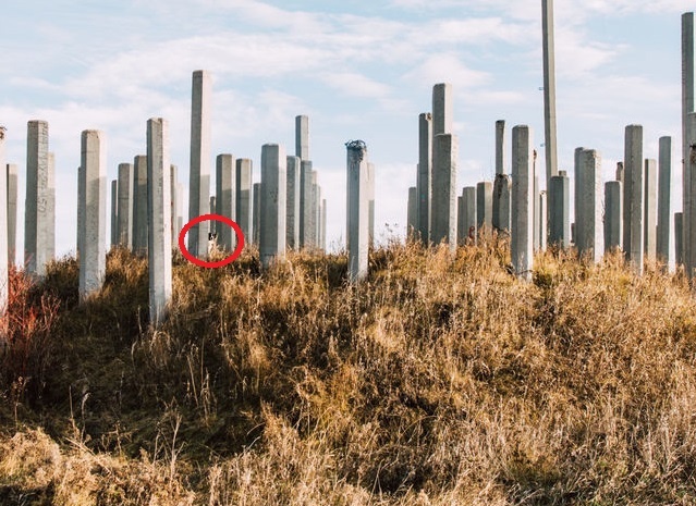 tim vat an trong anh anh 24