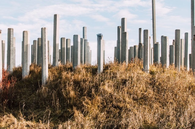 tim vat an trong anh anh 23