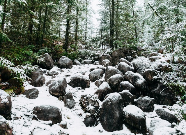 tim vat an trong anh anh 21