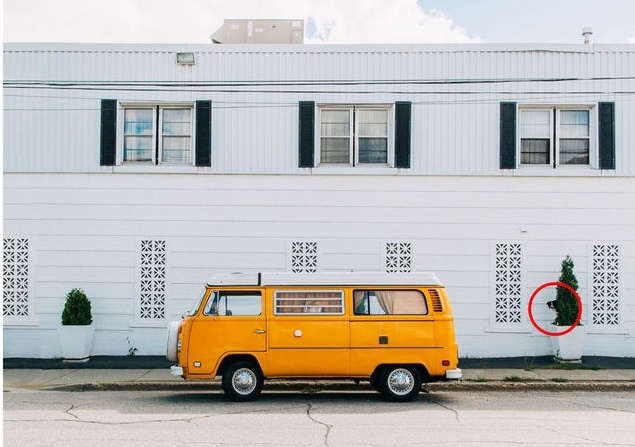 tim vat an trong anh anh 6