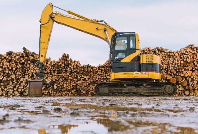 tim vat an trong anh anh 17