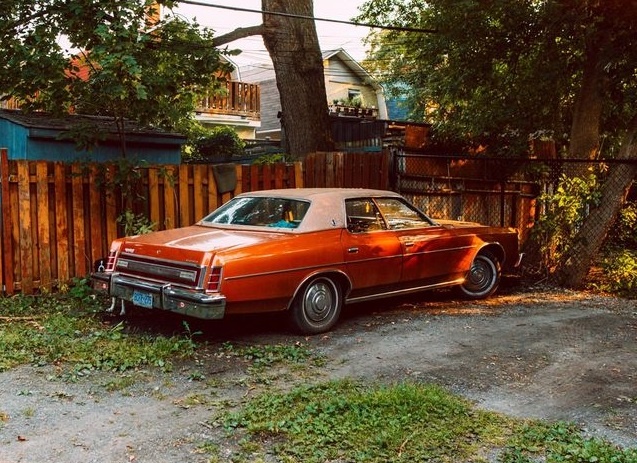 tim vat an trong anh anh 9