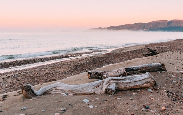 tim vat an trong anh anh 15