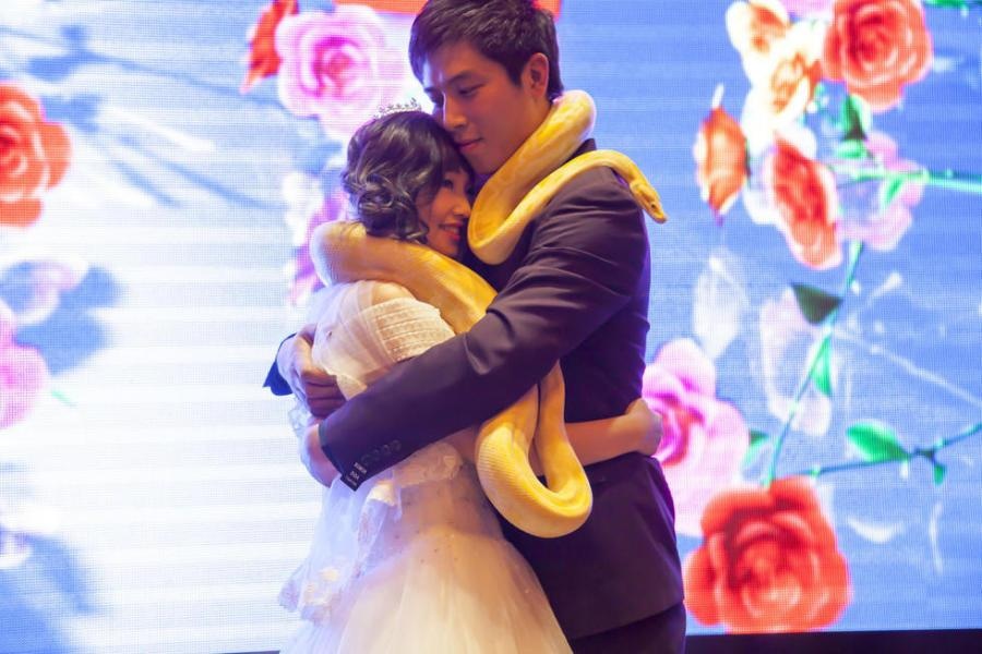 dinh uoc bang hai con tran vang anh 3