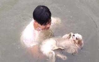 Chang trai nhay xuong kenh Nhieu Loc cuu cho chi la dien? hinh anh