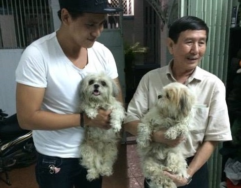 chàng trai nhảy xuống kênh cứu chó lạ ảnh 3 chang trai nhay xuong kenh cuu cho la anh 3