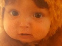 Em be gam tieng su tu dang yeu hinh anh