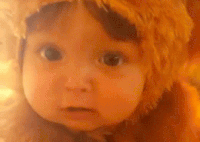 Tieng gam cua 'su tu nhi' dang yeu hut 23 trieu luot xem hinh anh