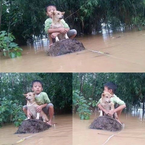 hinh anh gay chu y nhat tuan anh 4