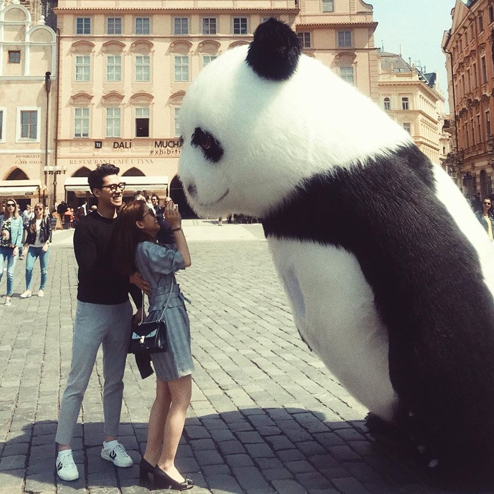 Bạn trai hot girl Ngọc Thảo ảnh 2 Ban trai hot girl Ngoc Thao anh 2