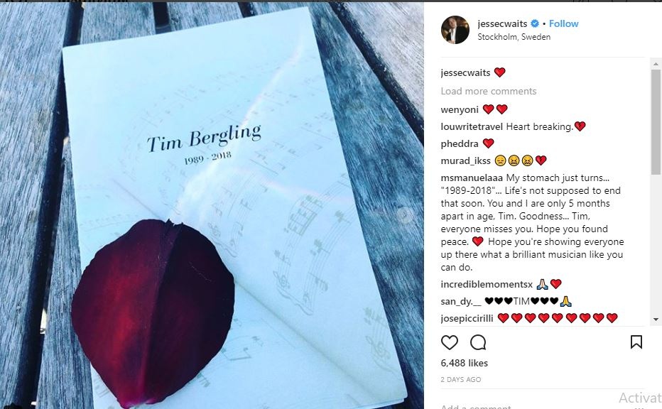 Avicii da yen nghi trong le tang rieng tu anh 1