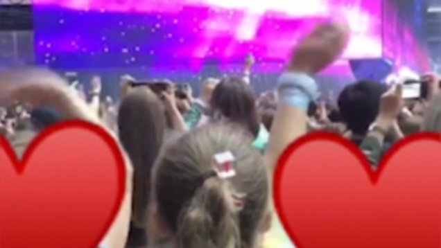 Harper Beckham phan khich trong show dien cua Taylor Swift hinh anh