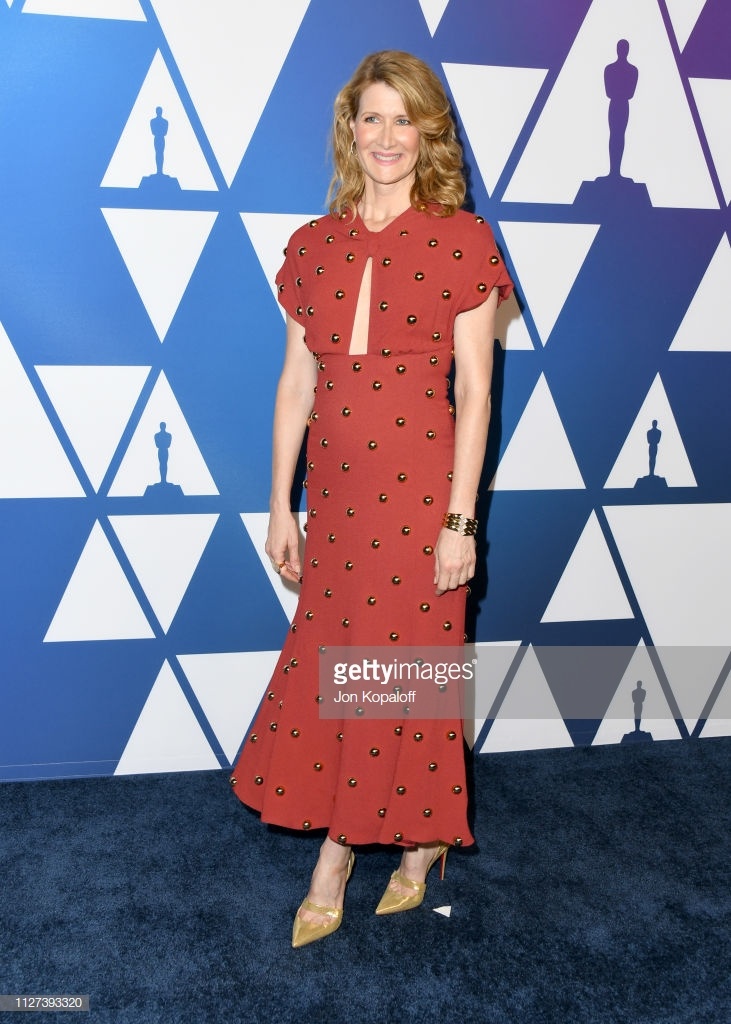 Dan sao long lay tai tiec truoc Oscar 2019 anh 9