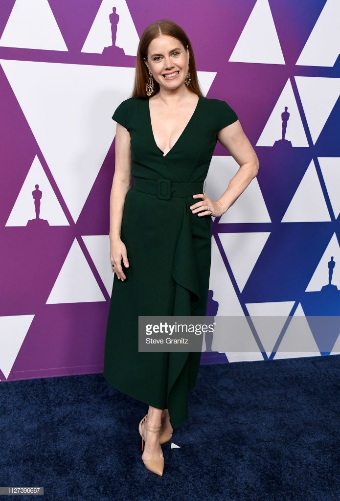 Dan sao long lay tai tiec truoc Oscar 2019 anh 6