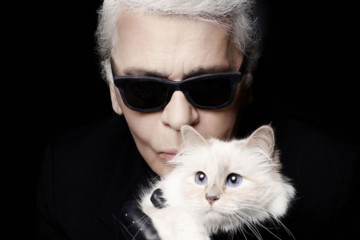 Karl Lagerfeld để lại tài sản cho mèo Choupette ảnh 1 Karl Lagerfeld de lai tai san cho meo Choupette anh 1