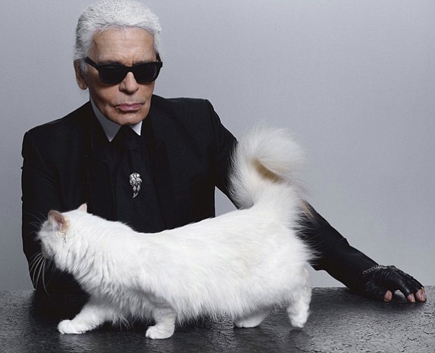 Karl Lagerfeld để lại tài sản cho mèo Choupette ảnh 2 Karl Lagerfeld de lai tai san cho meo Choupette anh 2