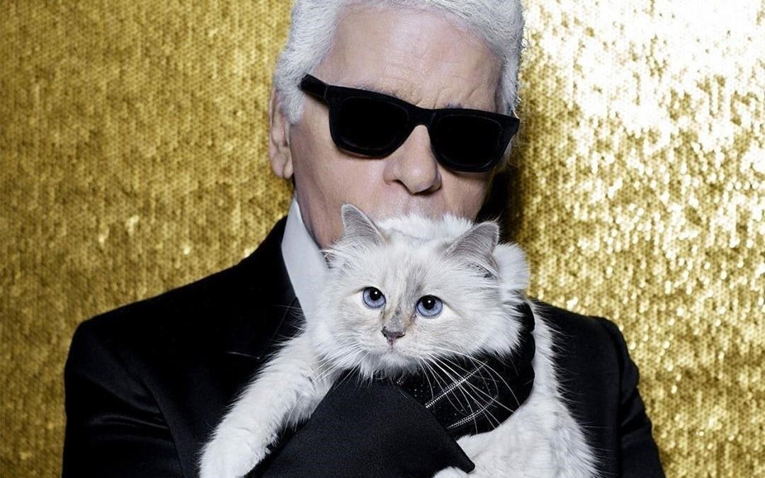 Meo cung thua huong tai san 200 trieu USD sau khi Karl Lagerfeld mat? hinh anh