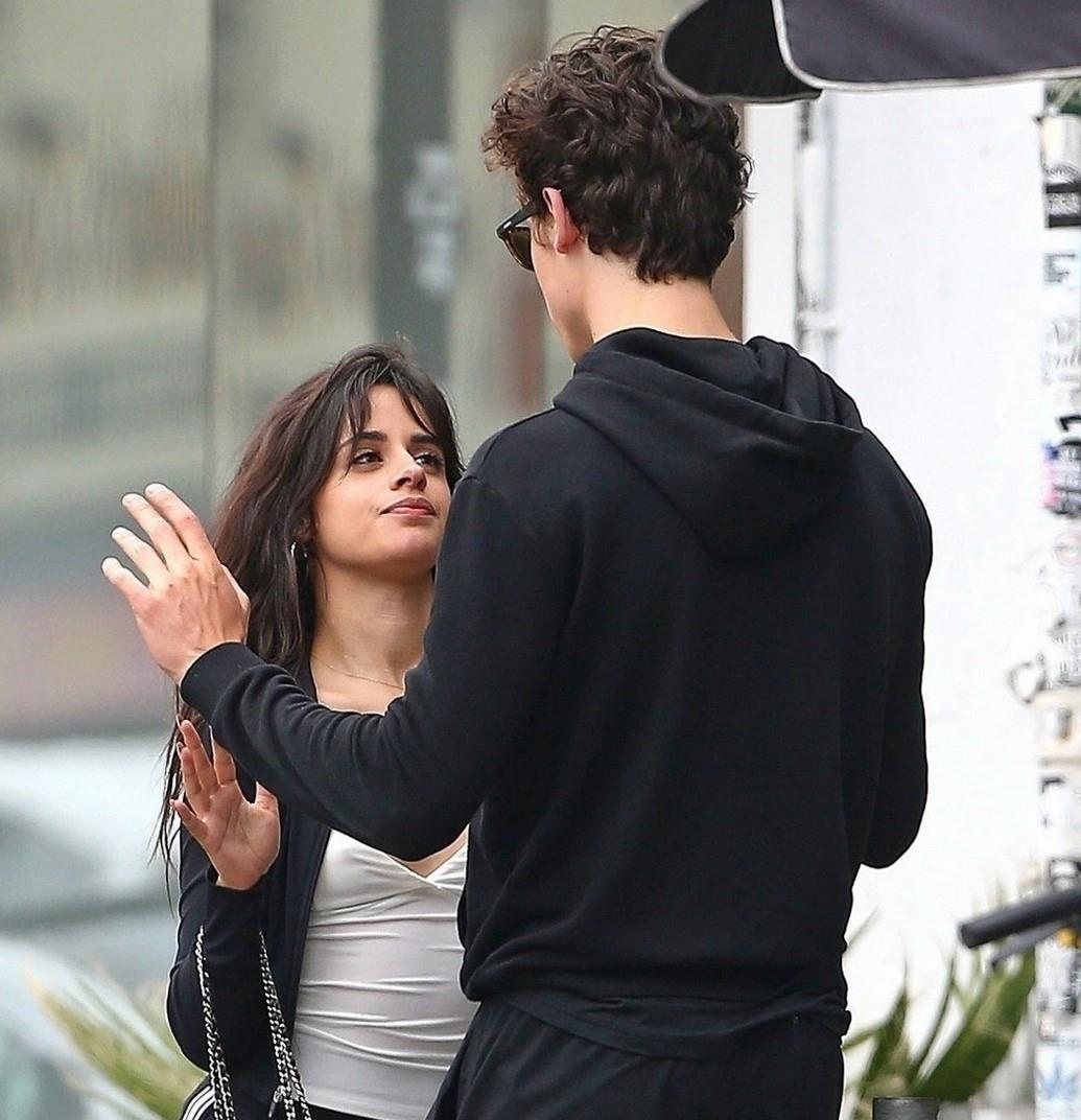 Shawn Mendes va Camila Cabello anh 4