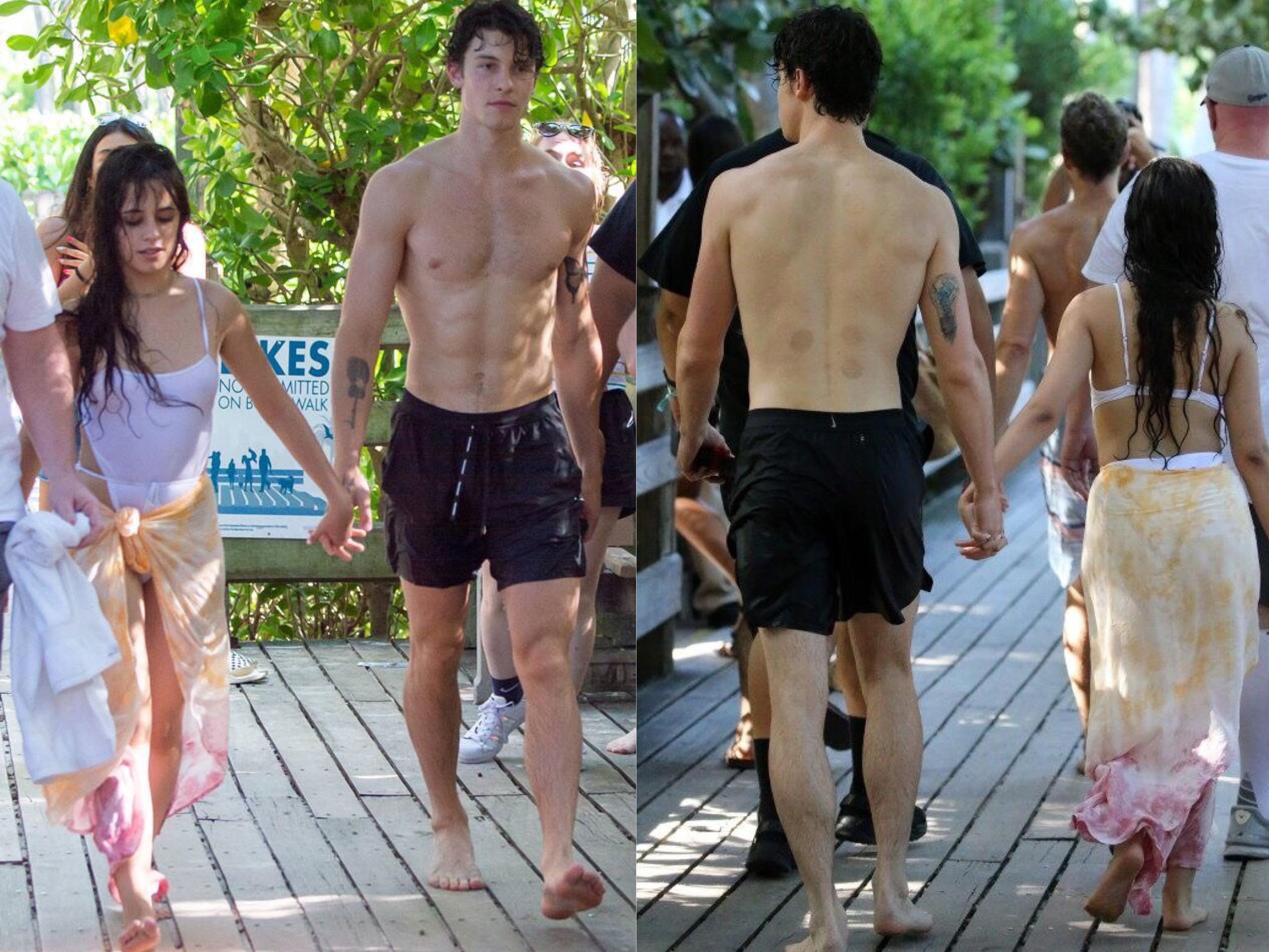 Shawn Mendes hen ho Camila Cabello anh 5