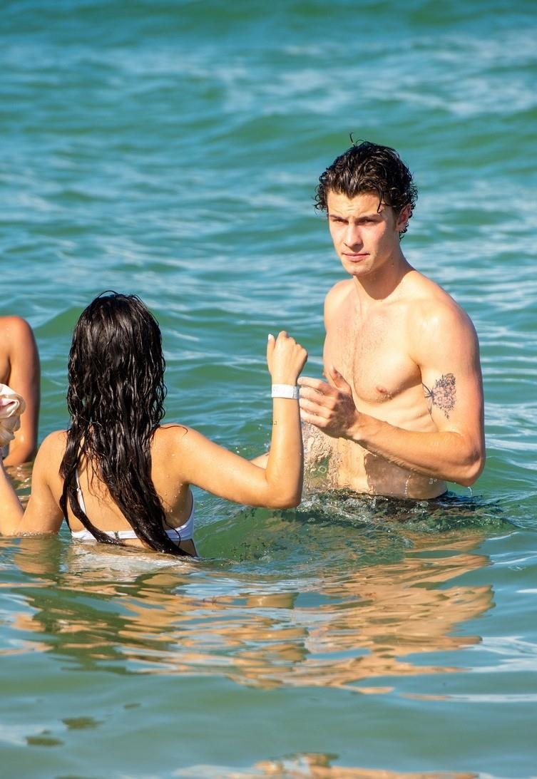 Shawn Mendes hen ho Camila Cabello anh 4
