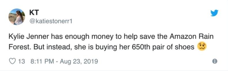 Cháy rừng Amazon ảnh 3 Chay rung Amazon anh 3