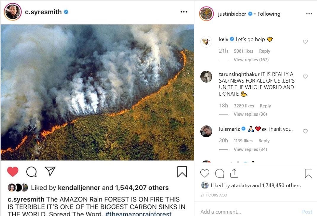 Cháy rừng Amazon ảnh 4 Chay rung Amazon anh 4