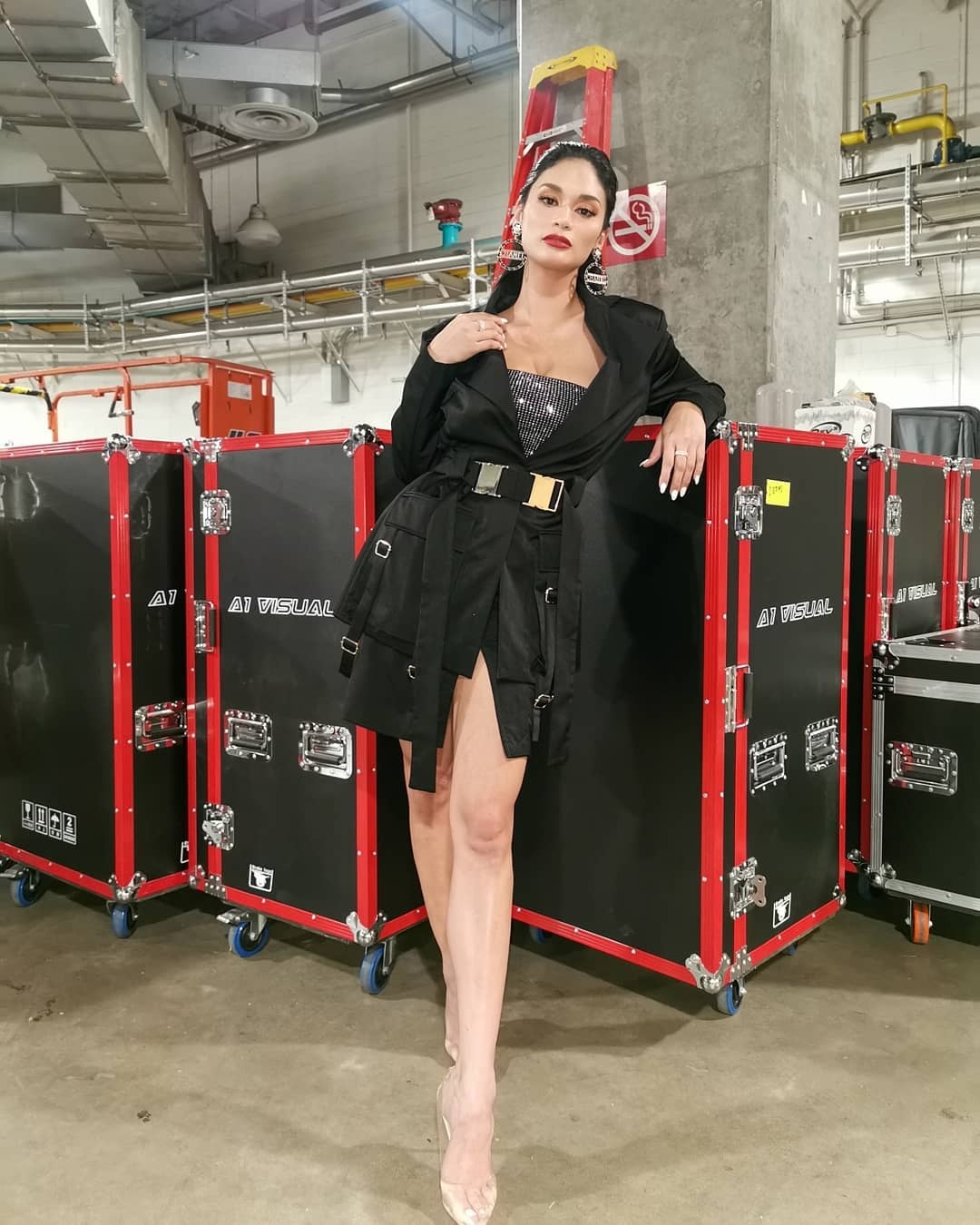 Hoa hau Hoan vu 2015 Pia Wurtzbach anh 12