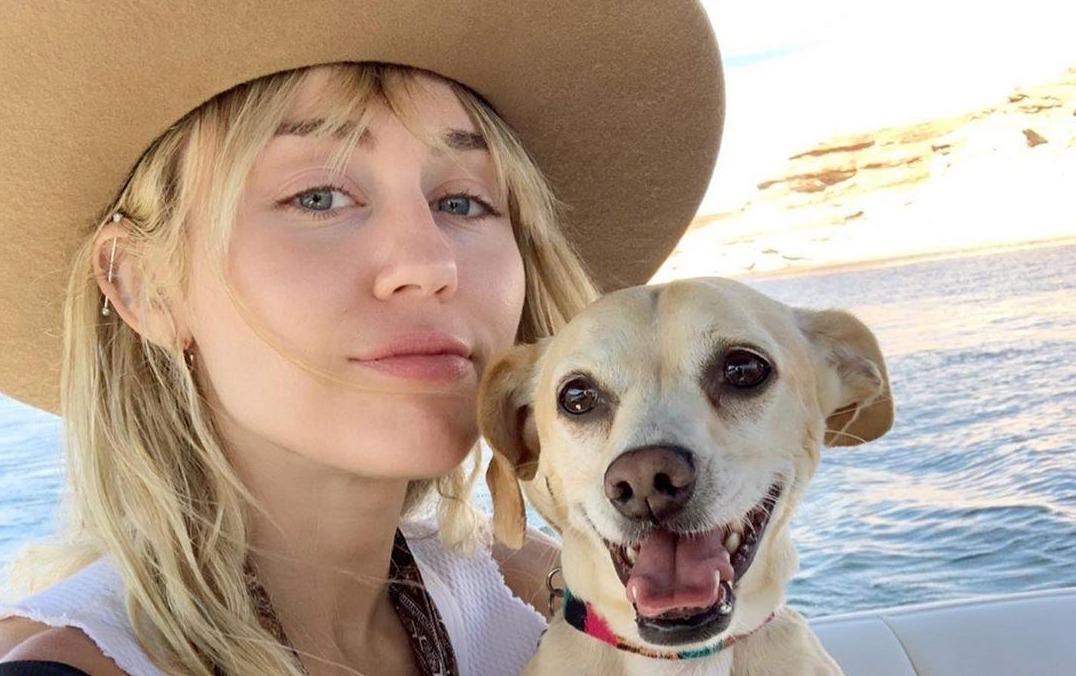 Miley Cyrus ngam chi trich tinh cu? hinh anh