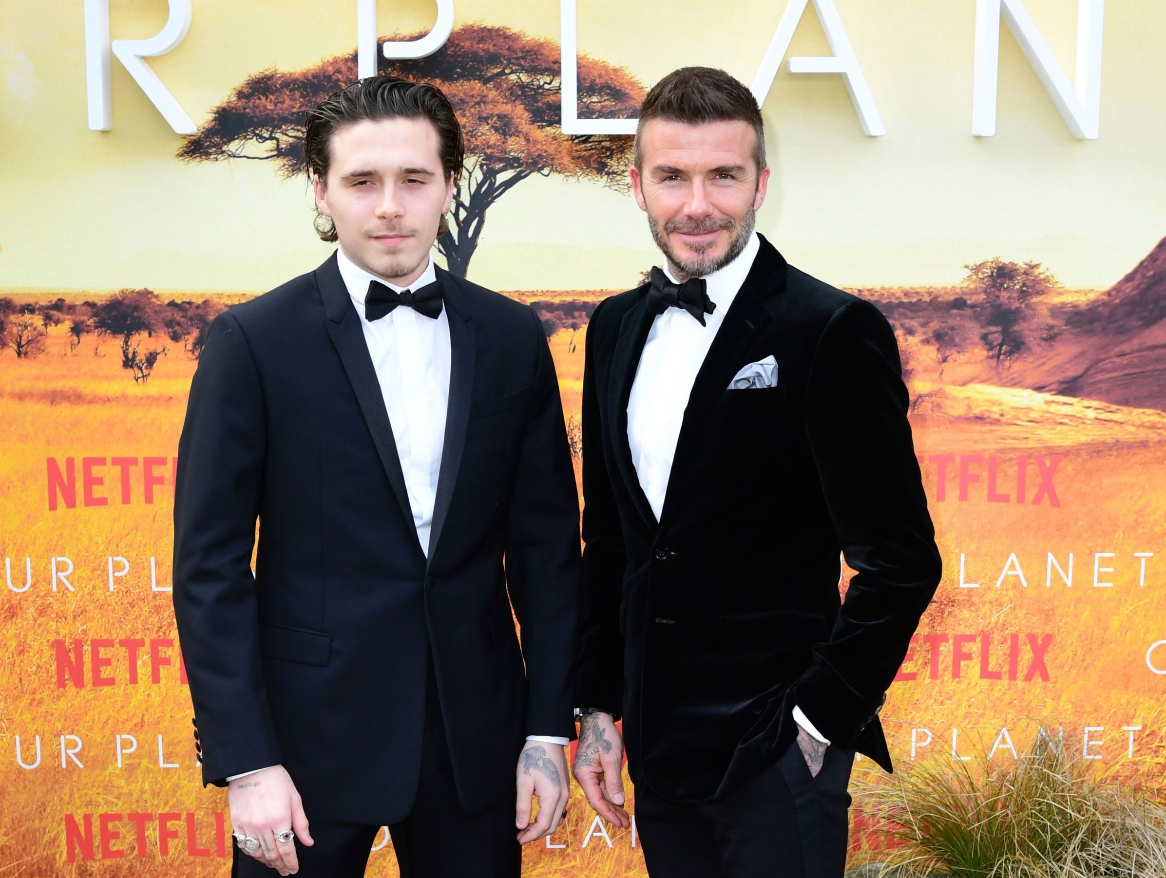 cau thu David Beckham anh 1