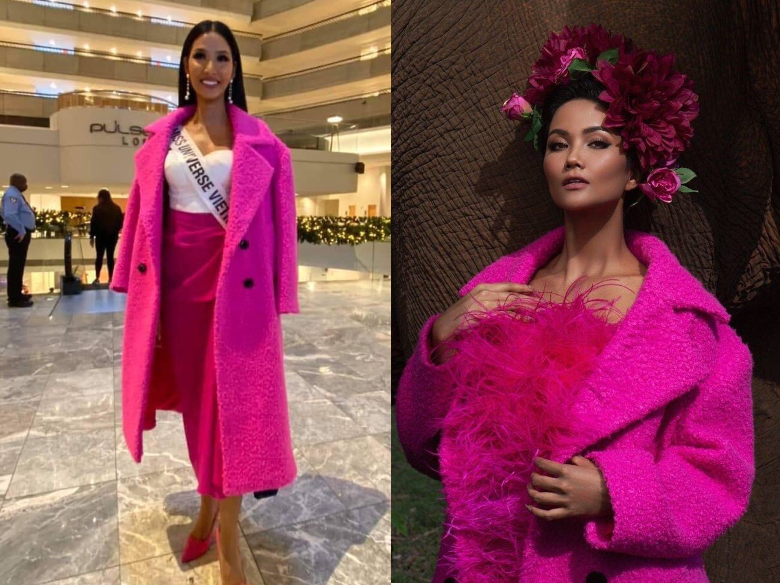 hoa hau hoan vu the gioi 2019 anh 2