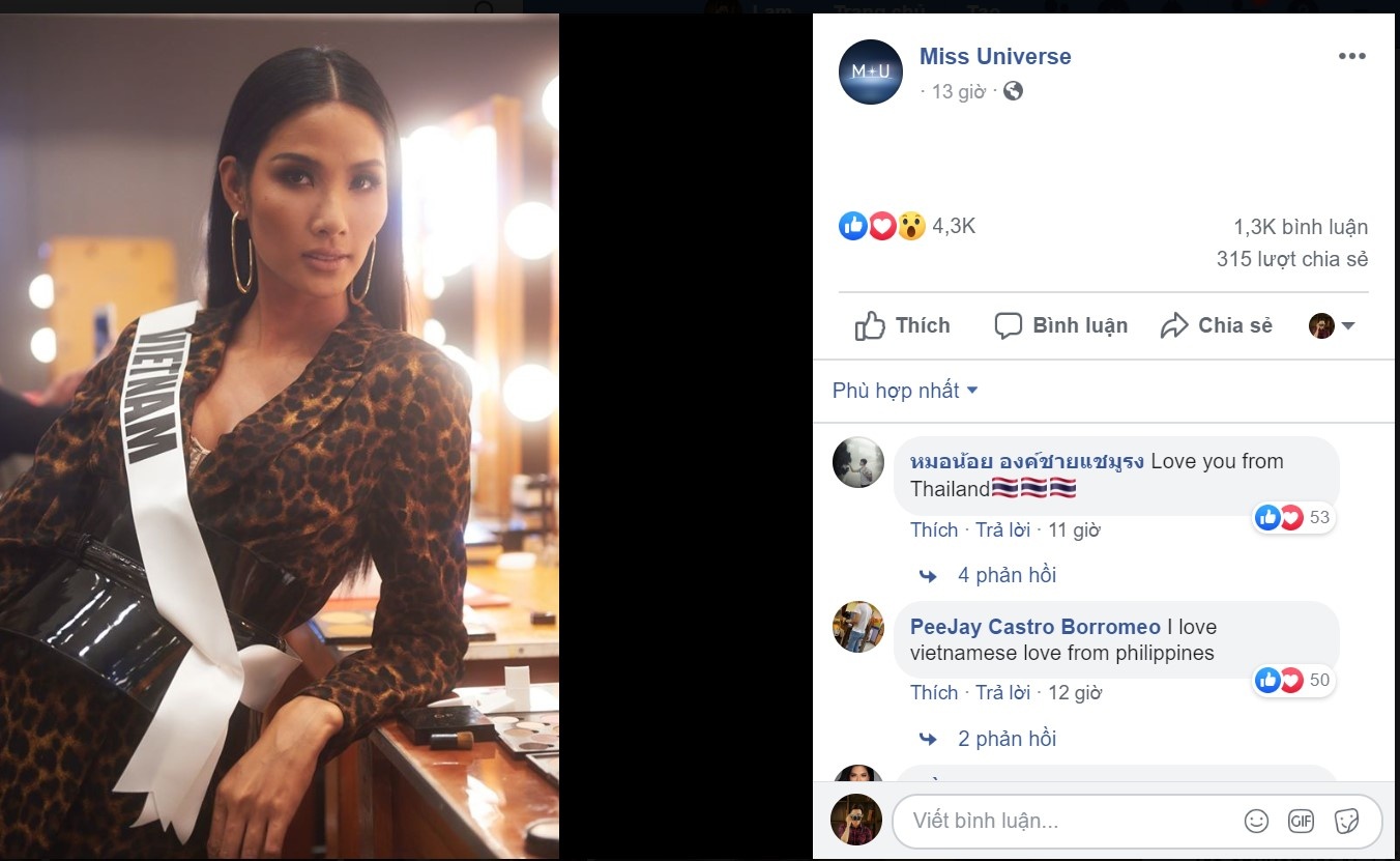 Hoa hau Hoan vu The gioi 2019 anh 6