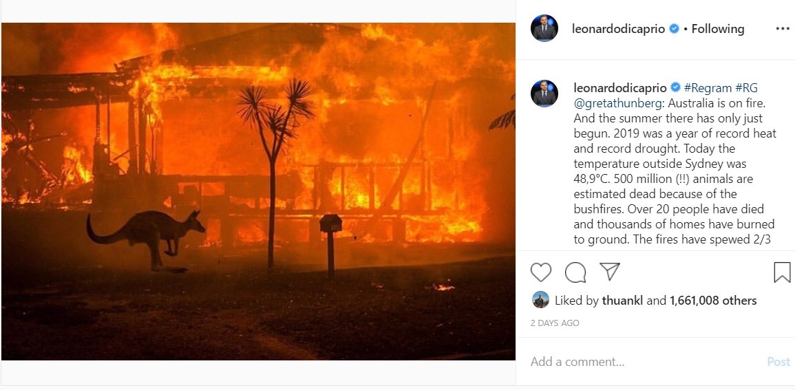 sao hollywood quyen gop chay rung o Australia anh 2