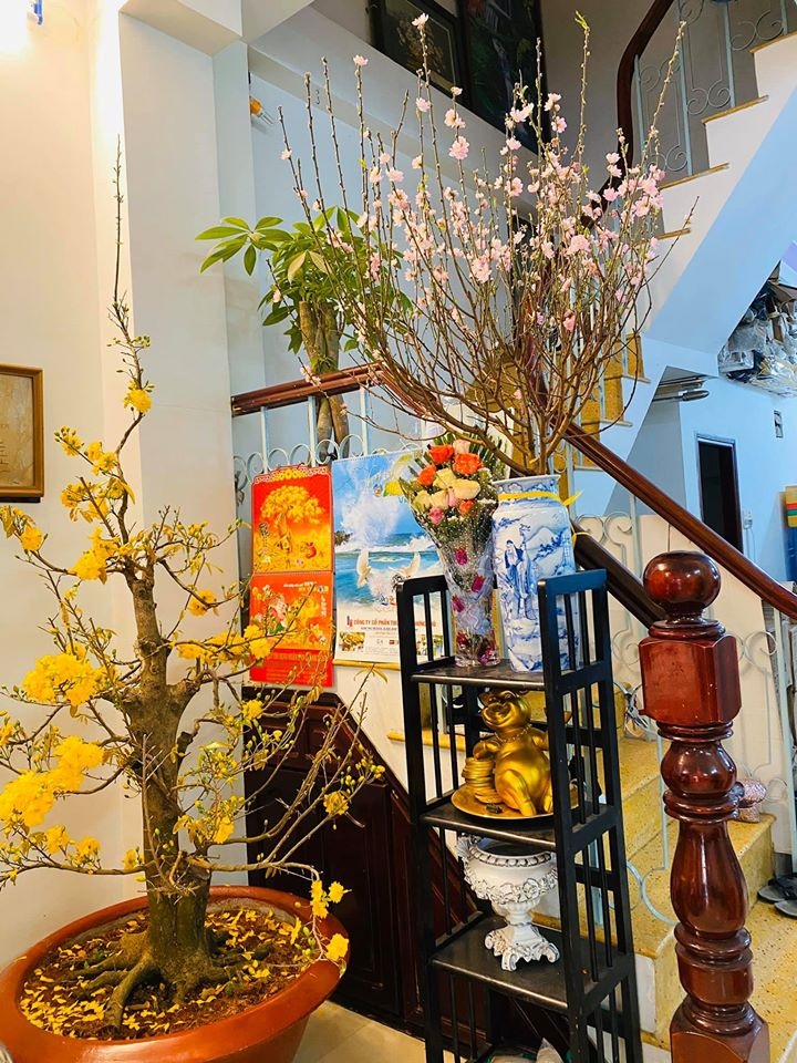 khánh vân cắm hoa đón tết ảnh 4 khanh van cam hoa don tet anh 4