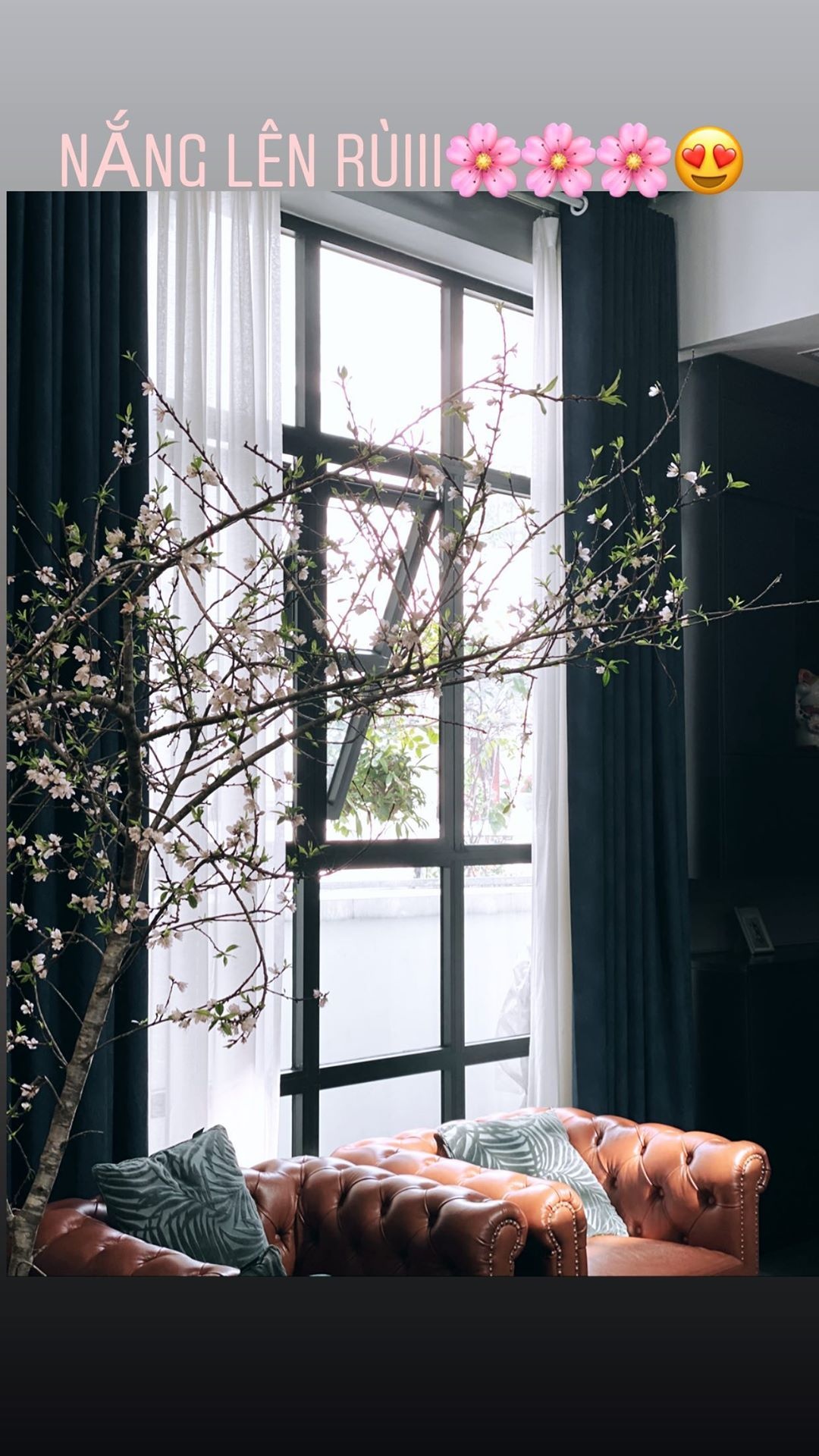 khánh vân cắm hoa đón tết ảnh 11 khanh van cam hoa don tet anh 11