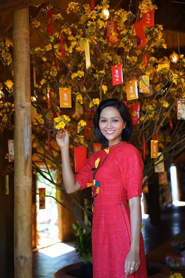 my nhan viet dien ao dai mung 1 tet anh 2