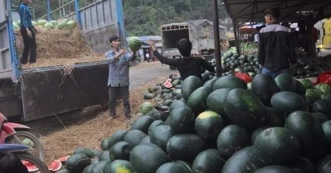 sao việt kêu gọi mua nông sản ảnh 1 sao viet keu goi mua nong san anh 1