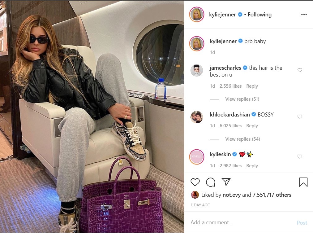 Kylie Jenner xach tui 3, 5 ty dong anh 1