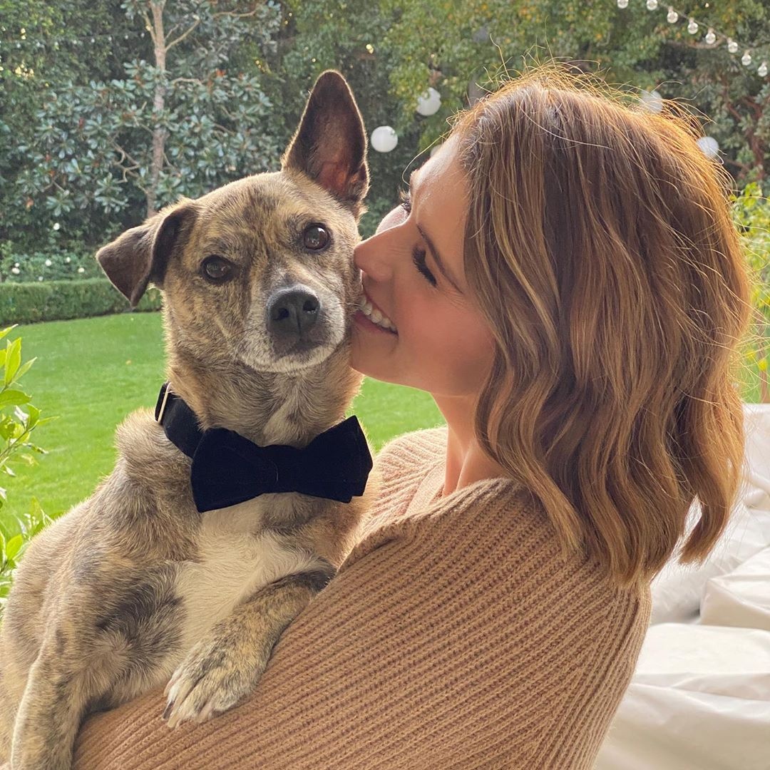 con gai ke huy diet Arnold Schwarzenegger. anh 5