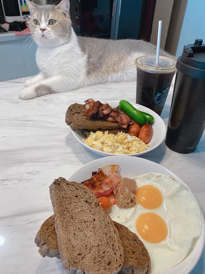 sao Viet duoc khen nau an gioi anh 4