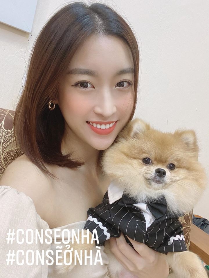 do my linh ngung viec o vtv anh 1