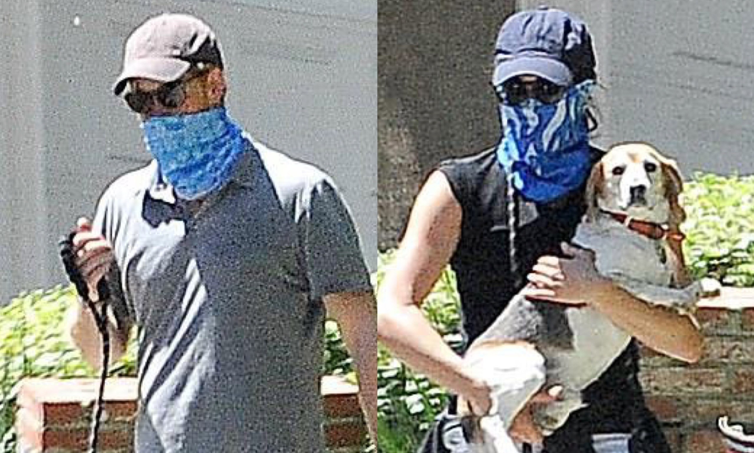 Vo chong Meghan Markle che kin mat di phat thuc an tu thien hinh anh