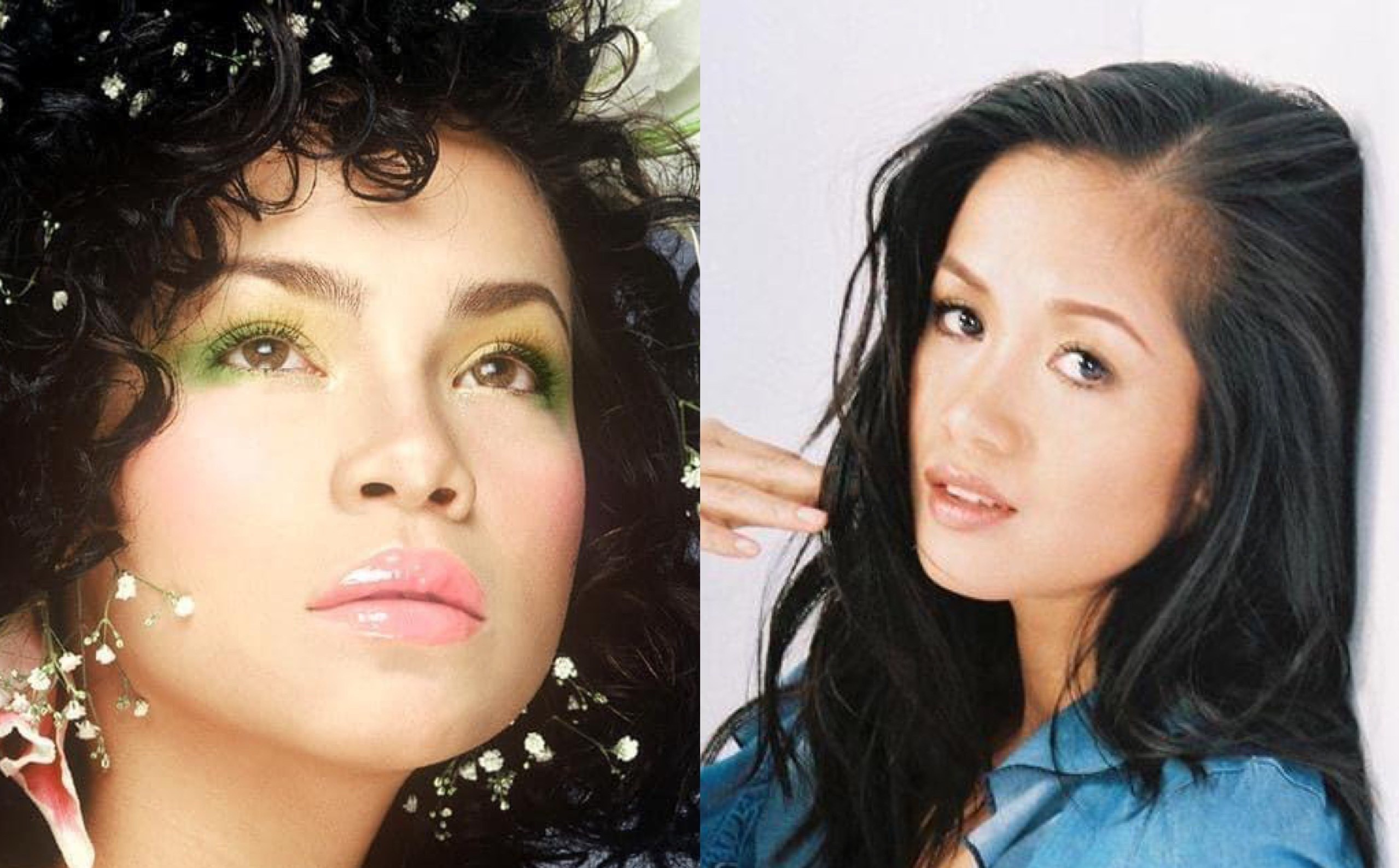 Hong Nhung, Ho Ngoc Ha thoi thanh xuan hinh anh