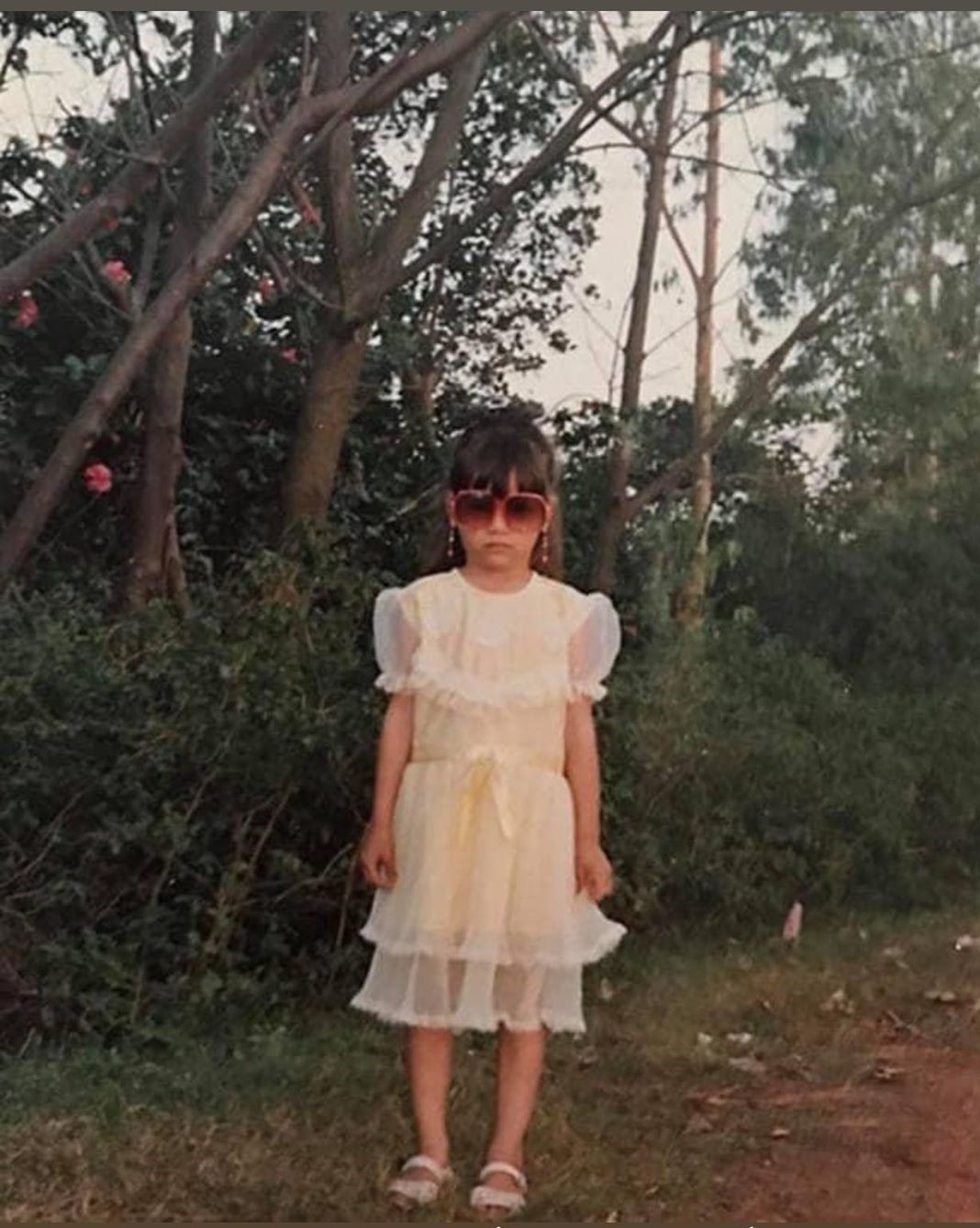 ho ngoc ha noo phuoc thinh anh 1