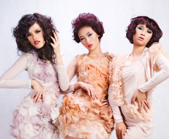 vietnam's next top model 2010 anh 1