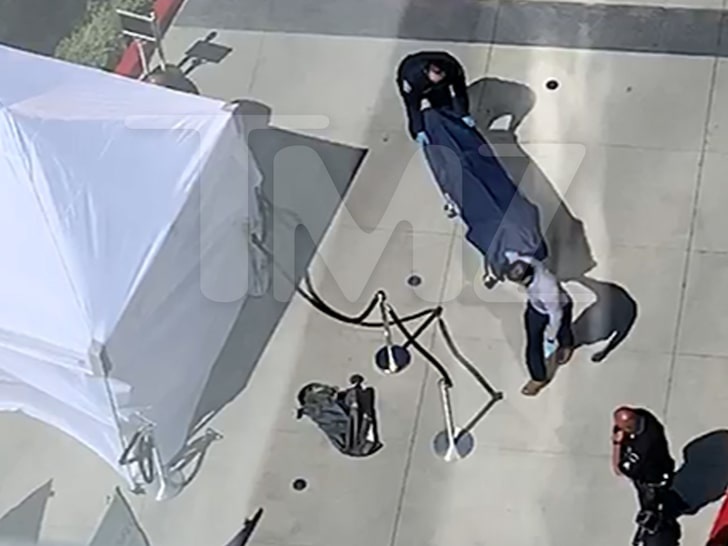 Steve Bing nhay lau tu tu anh 1