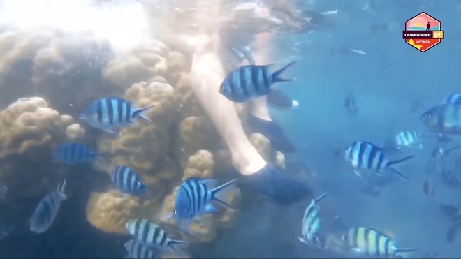 quang vinh pham quynh anh ngoi len san ho anh 1