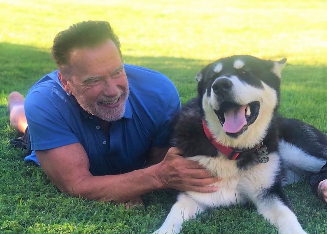 Tuoi 73 cua 'ke huy diet' Arnold Schwarzenegger hinh anh